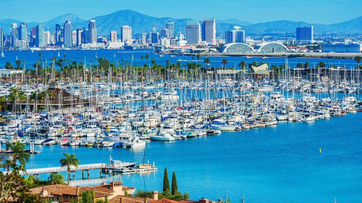 Sailboats packed into a marina, with a city skyline and low hills across the water.